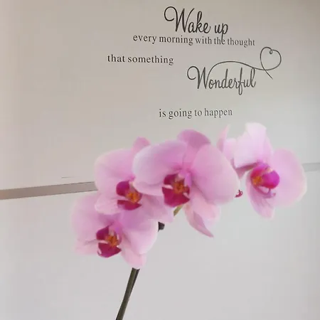 G_open Space Porto SantʼElpidio